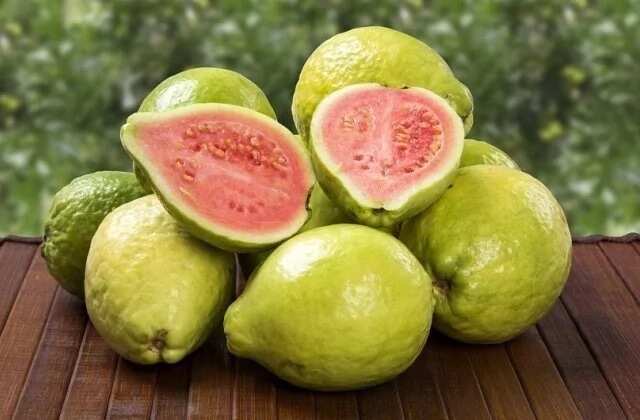 Guava fruit