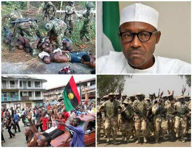 2,000 Igbo youths have been killed by Nigerian army - NGO