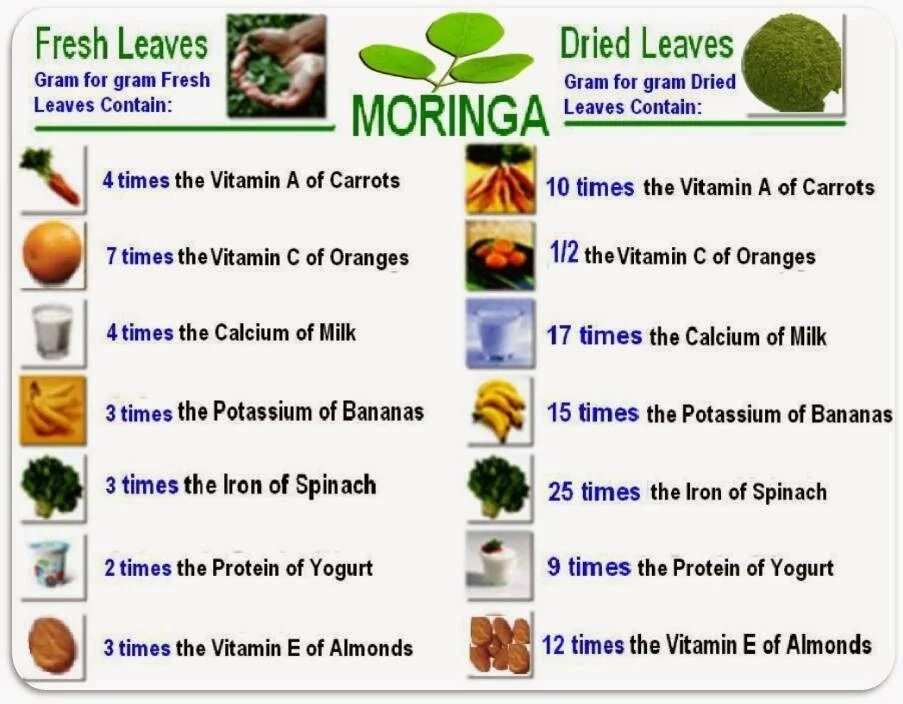 Moringa value