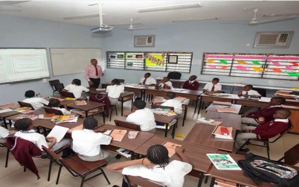 INVESTIGATION: Why Nigerian elitist schools prefer British education curriculum over Nigeria system