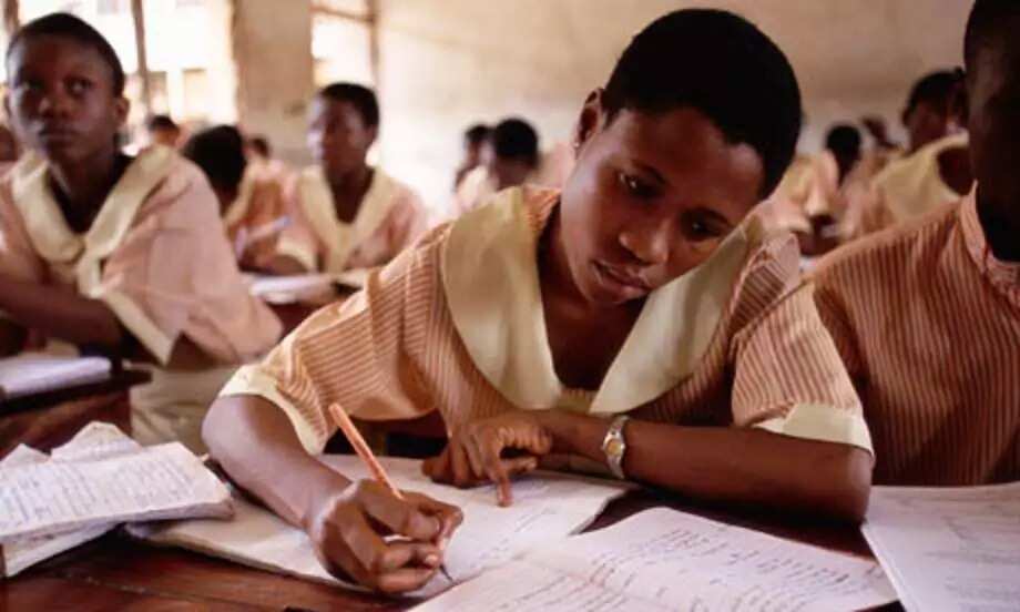 Examination Malpractice Causes Effects And Solutions In Nigeria Legit ng