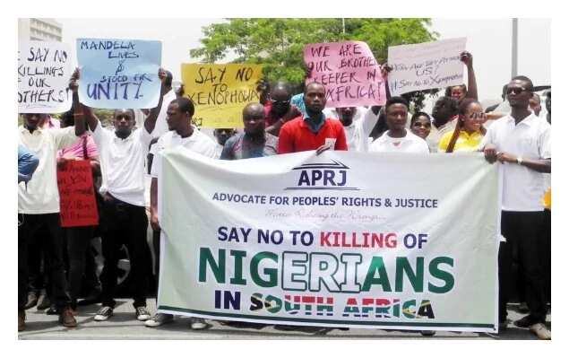 Xenophobia: Why Nigeria didn’t declare war on South Africa - FG