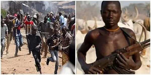 Miyetti Allah claims that Soldiers killed 17 herdsmen in Southern Kaduna