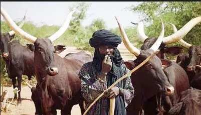 Analysis: The deadly influx of Fulani herdsmen in Nigeria