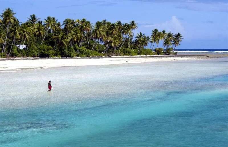 Coconut Beach Nigeria