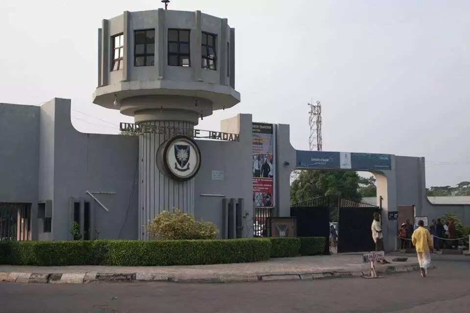 University Ibadan