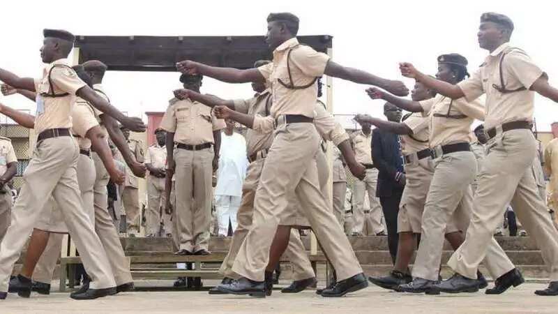 Nigeria Immigration Ranks And Structure Departments Legit Ng