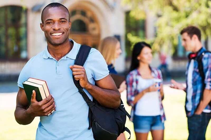 Western education in Nigeria advantage