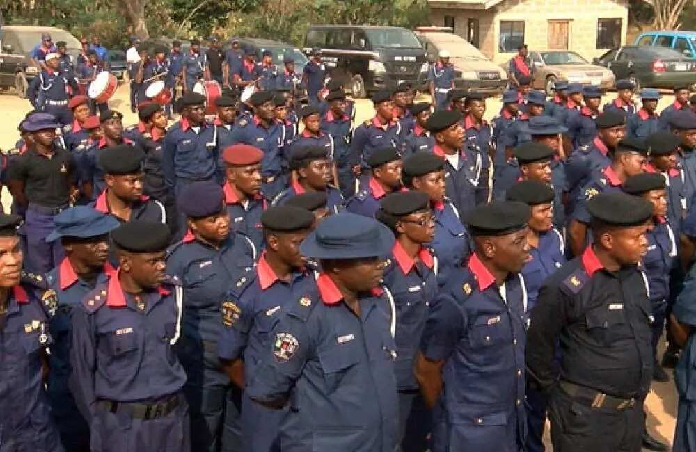 nigerian-civil-defence-ranks-and-salary-legit-ng