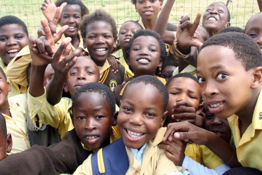 What is the population of Nigeria? What is the population of Nigeria?