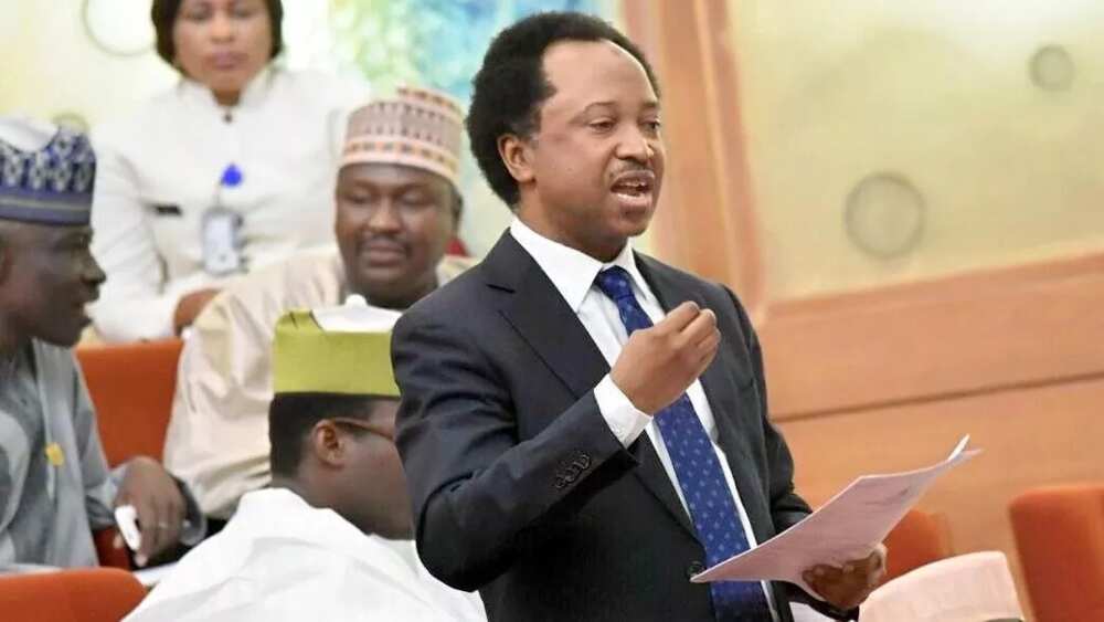 Senator Shehu Sani advocates N145,000 minimum wage for Nigerian workers, slams politicians for stealing monies