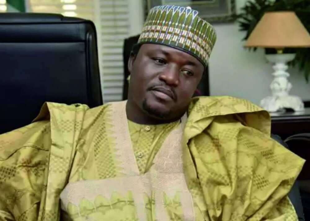 Amotekun: Arewa youth leader, Shettima lauds south-west governors