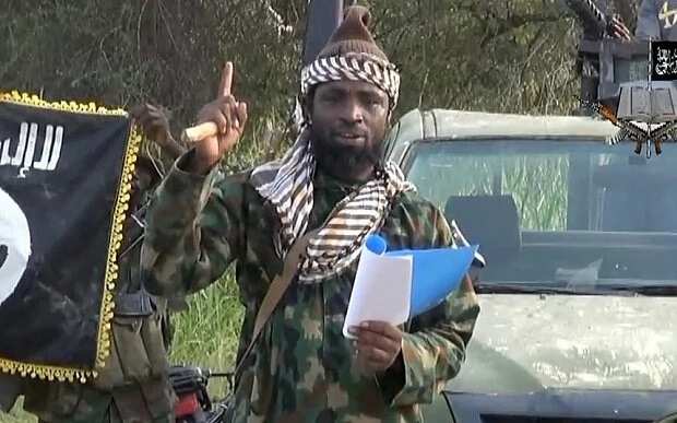 Abubakar Shekau is alive - FG