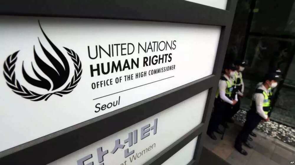 UN report alleges human rights violations in Turkey
