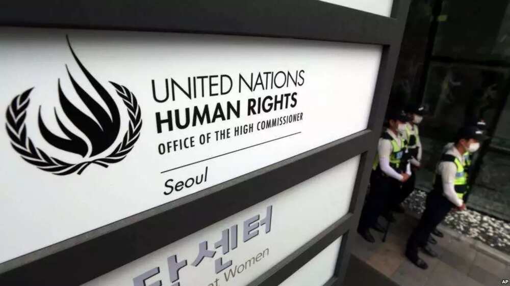 UN report alleges human rights violations in Turkey UN report alleges human rights violations in Turkey
