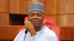 Tension as PDP suspends youth leader for accusing Saraki