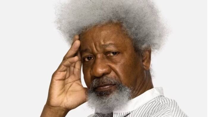 2023: Soyinka admits working against Jonathan in 2015, urges Nigerian youths to vote