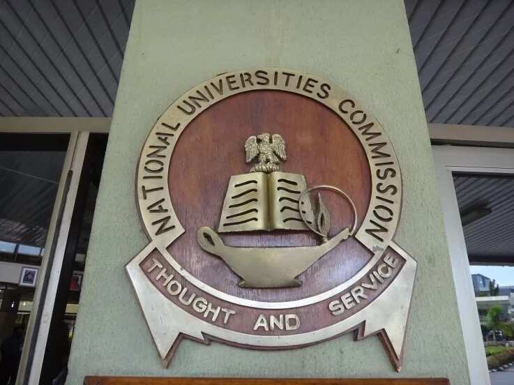 National Open University Of Nigeria Courses And Requirements - Legit.ng