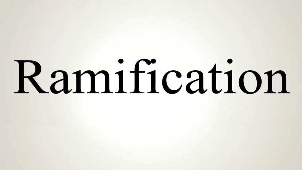 ramification-meaning-and-usage-legit-ng