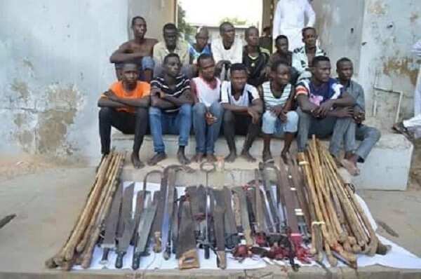 'Yan sanda sun cika hannunsu da 'yan bangar siyasa da suka adabi mutane a Kano 'Yan sanda sun cika hannunsu da 'yan bangar siyasa da suka adabi mutane a Kano