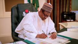 Amid various clashes with police, Buhari rejects Nigerian Peace Corps Bill