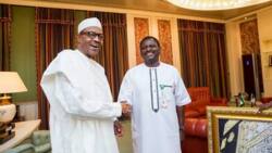 Kakakin Buhari, Femi Adesina, Ya Bayyana Sana'ar Da Zai Fara Bayan Shugaban Ƙasar Ya Sauka Daga Mulki a 2023