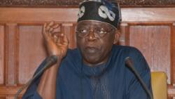 Tension as APC leaders, Tinubu disagree over governorship candidate