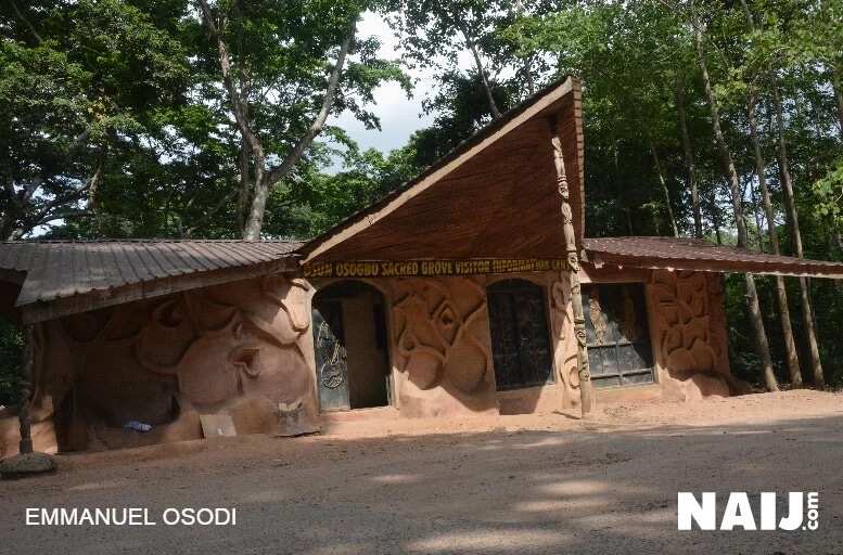 The mysteries behind Osun/Osogbo river The mysteries behind Osun/Osogbo river