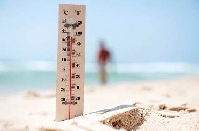 thermometer thermometer
