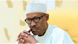Hours after total blackout, continued fuel scarcity, Buhari releases heartfelt apology to Nigerians