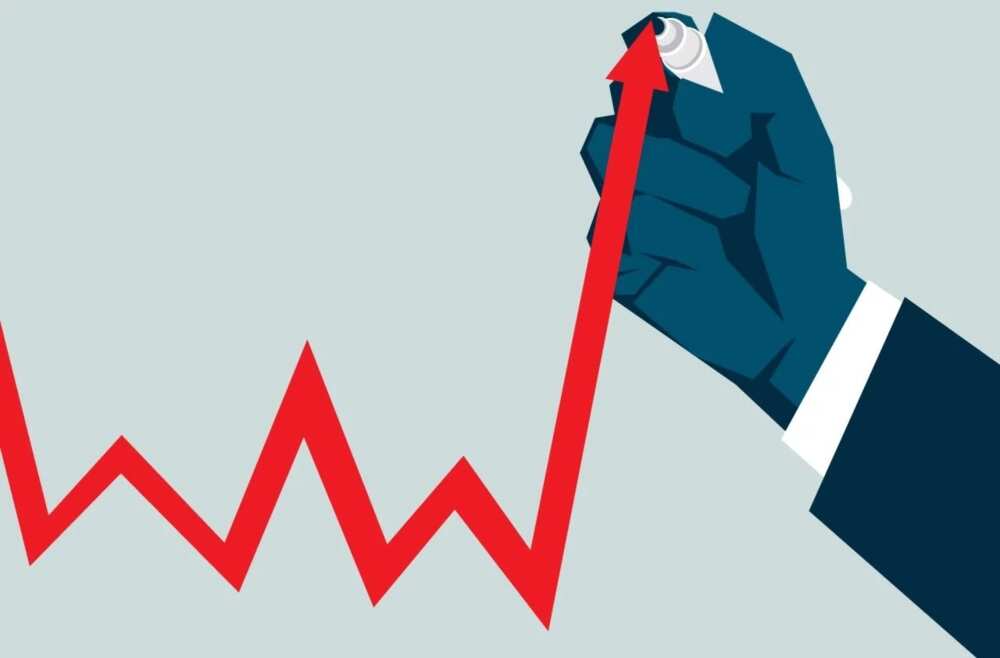 Major causes of inflation in Nigeria: Top 5 Major causes of inflation in Nigeria: Top 5