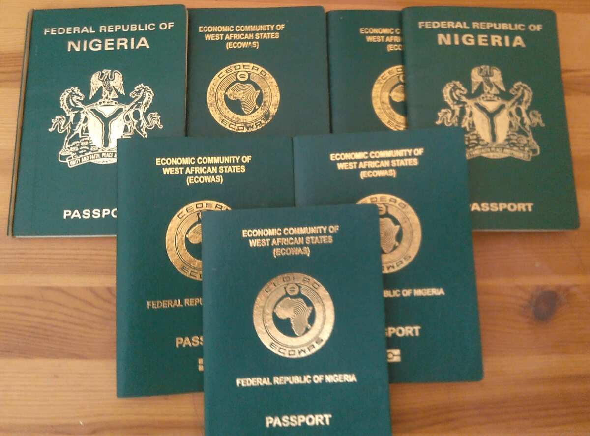 nigerian passport renewal fee 2021