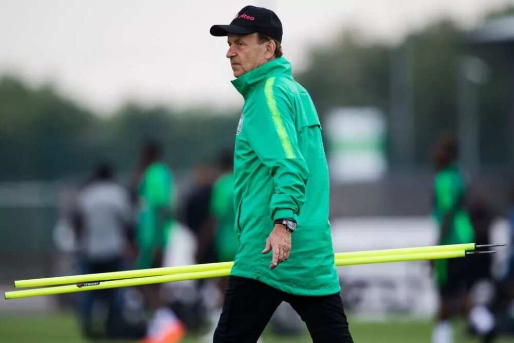 Gernot Rohr shortlisted for vacant Algeria’s manager job