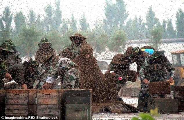 Man Covered In 100kg Of Bees Sets World Record