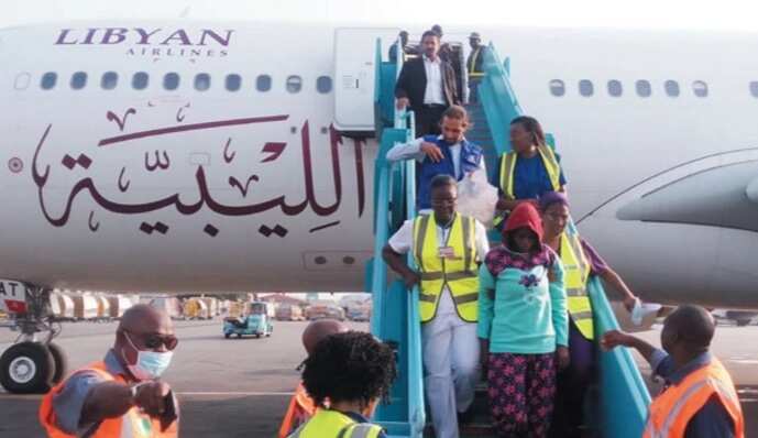 Just In: NEMA Receives 160 Stranded Nigerians From Libya - Legit.ng