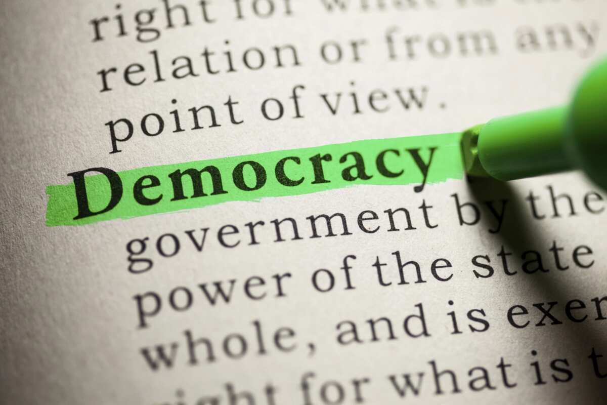 What Are The 2 Types Of Representative Democracy