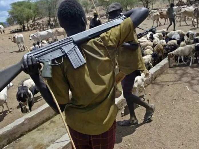 An damke wani makiyayi dauke da bindiga kirar AK47 a jihar Enugu