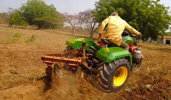 Advantages and disadvantages of arable farming