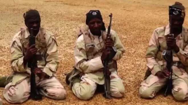 Mayakan Boko Haram sun fara komawa dajin Taraba