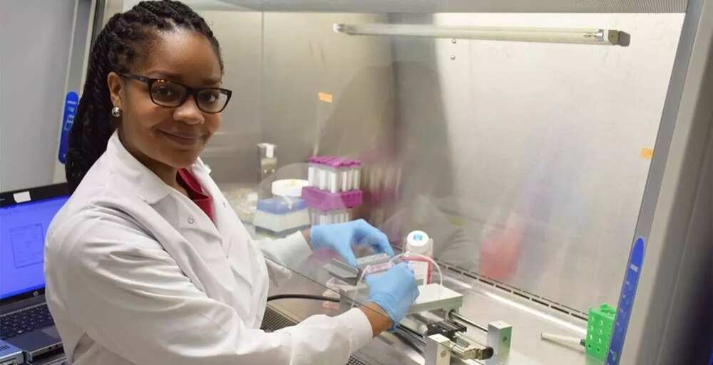 Where can a microbiologist work in nigeria