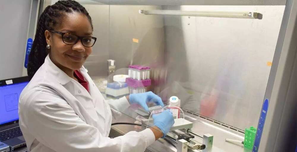 job opportunities for microbiology in nigeria 2019