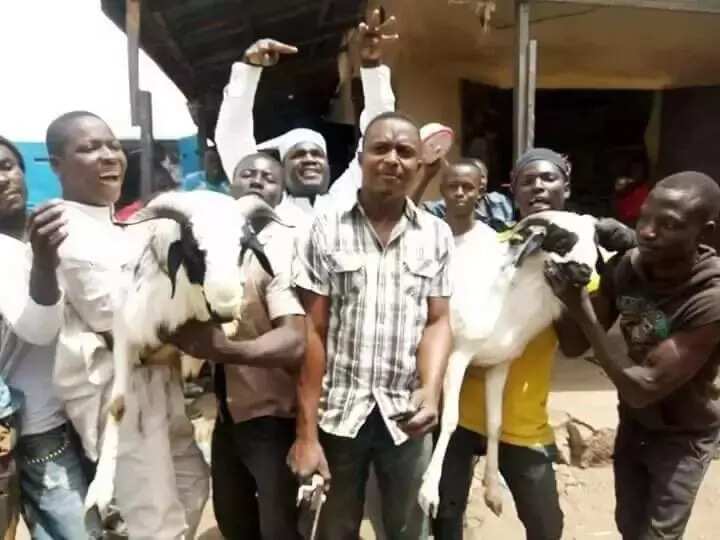 SO DA KAUNA: An yi bikin yanka a Gombe zabar murnar dawowar shugaba Buhari (Hotuna) SO DA KAUNA: An yi bikin yanka a Gombe zabar murnar dawowar shugaba Buhari (Hotuna)