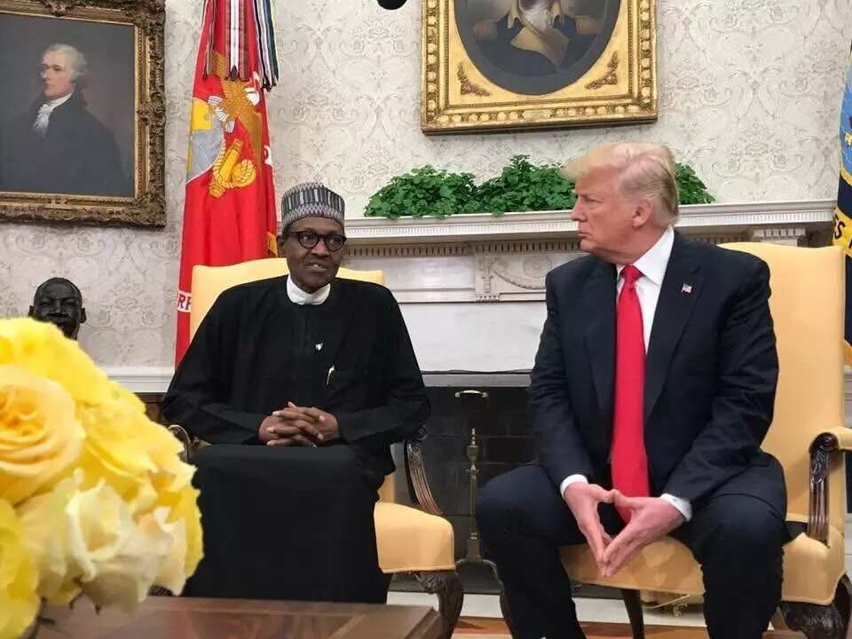 Buhari’s visit to U.S. will open up American market for Nigerian goods - Lawyer