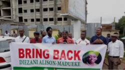 UPDATED: EFCC promises to follow due process as protesters demand Diezani's repatriation to Nigeria (photos)