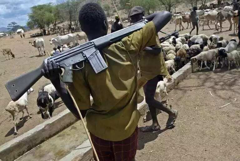 Tension in Enugu as Fulani herdsmen attack community