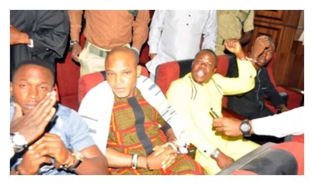 Treason charges: Kanu, freedom fighter not coup plotter – IPOB