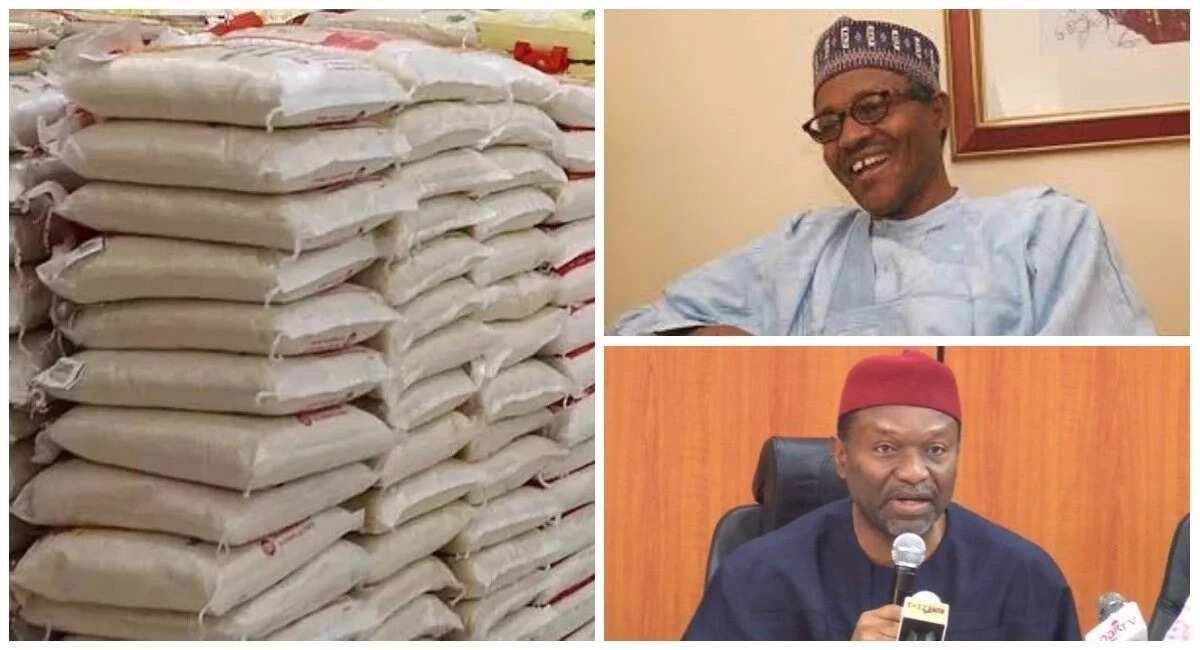 fg-is-working-to-reduce-the-price-of-rice-udo-udoma-legit-ng