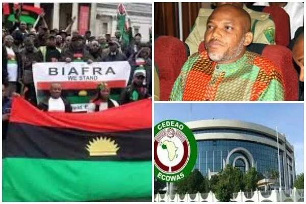 We are disappointed with ECOWAS Court of Justice - IPOB