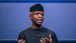 Osinbajo-led National Economic Council denies reports it recommended fuel to sell at N302 per litre