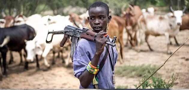 7 dead as Fulani herdsmen strike in Niger state